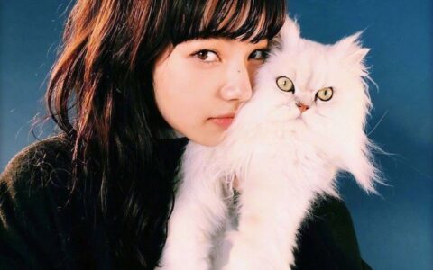 最新晚安心语语录（充满正能量的晚安心语）