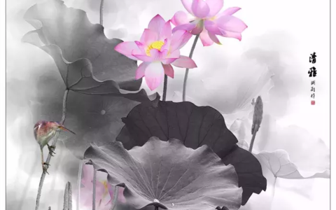 关于莲的诗句有哪些（形容莲花的高雅的诗句鉴赏）