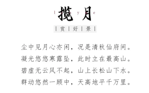 赏月的诗句有哪些（夜晚赏月的唯美句子）