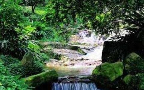 形容风景优美的词语有哪些（风景如画的唯美词语）