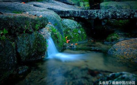 小石潭记的原文是什么（小石潭记翻译及原文）