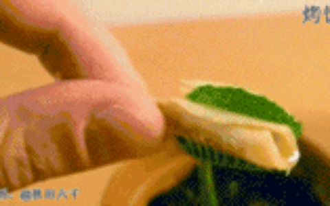 可以吃虫子的植物（500种吃虫子的植物大全）