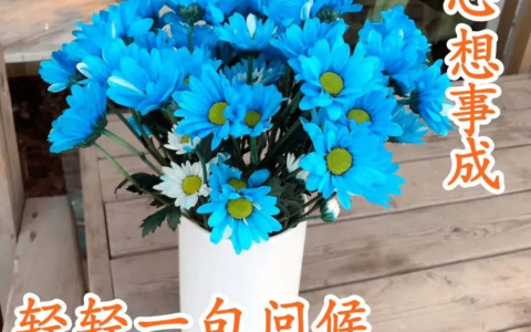 形容笑容很灿烂的句子（赞美人笑得甜美的句子）