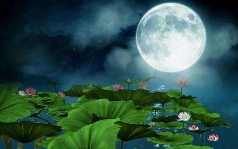 朱自清散文《荷塘月色》