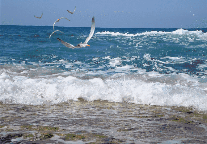 朱自清散文《“海阔天空”与“古今中外”》