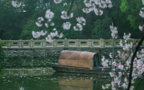 沈从文经典语录名句（沈从文边城经典句子）