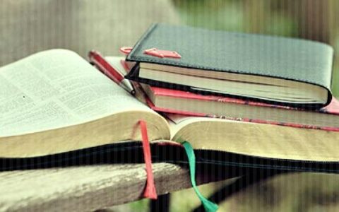 情商低的人会经常说这三句话