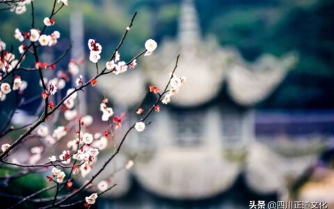 文言文大全哲理句子（有深度有哲理的文言文句子）