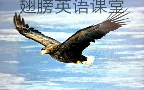 经典英语情诗（浪漫到哭的英文情诗）