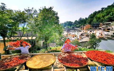 赞美农民的经典句子（关于农民的励志句子）