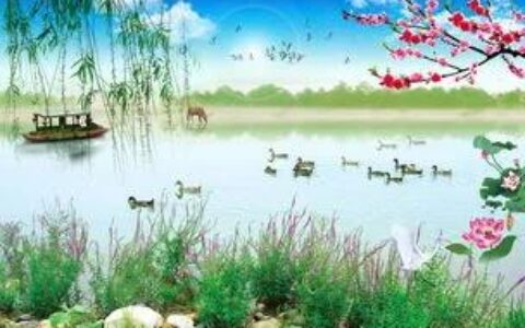 南湖早春白居易赏析（早春白居易译文及赏析）