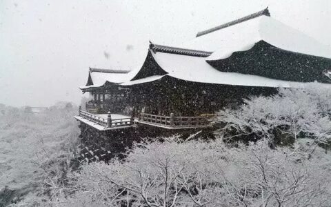 贾岛的诗词欣赏（贾岛最有名的10首诗词）