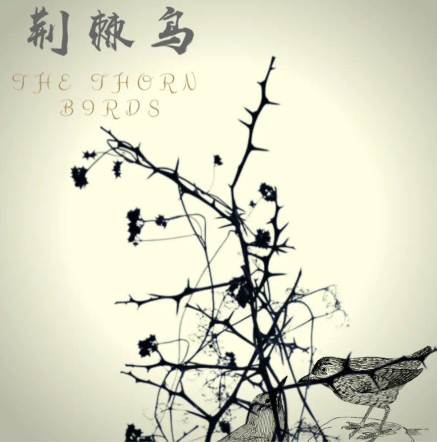 荆棘鸟小说（荆棘鸟原文摘抄）