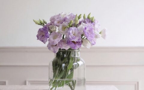 正能量唯美的句子经典语句（唯美优雅正能量句子）