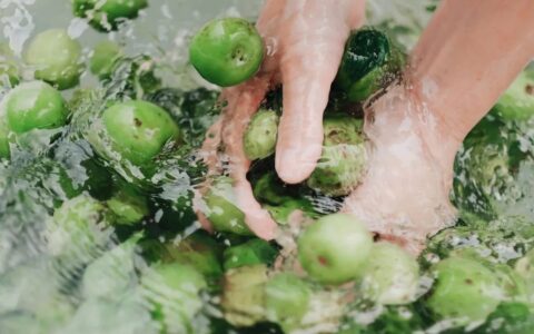 描写夏天的成语（写盛夏的唯美语句）