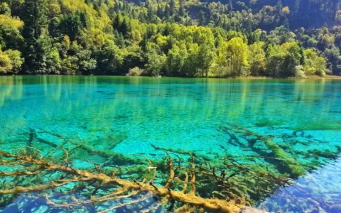 郭沫若的诗集代表作（现代文学家郭沫若）