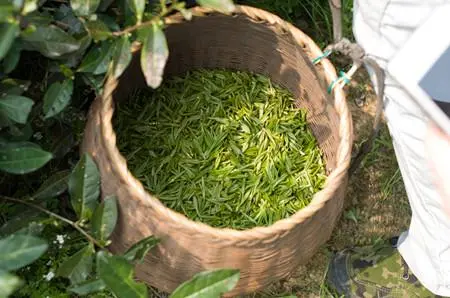 龙井题名记文言文翻译（龙井题名记注释及赏析）