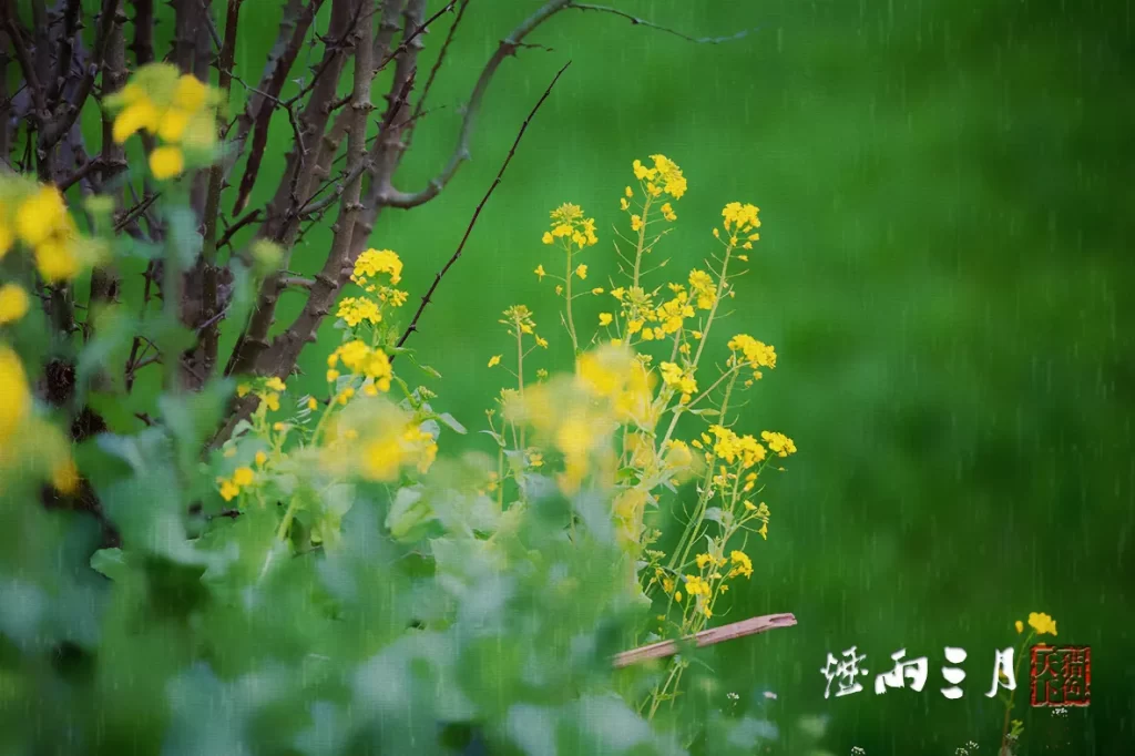 描写三月的优美句子
