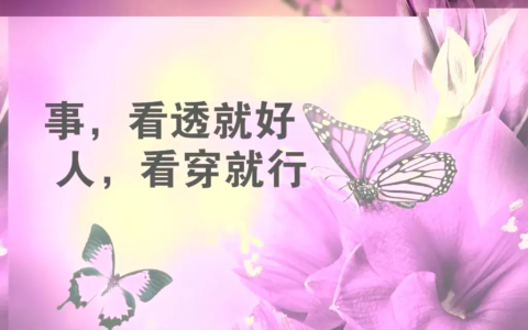 抱团取暖励志的句子（抱团取暖的正能量语录10条）