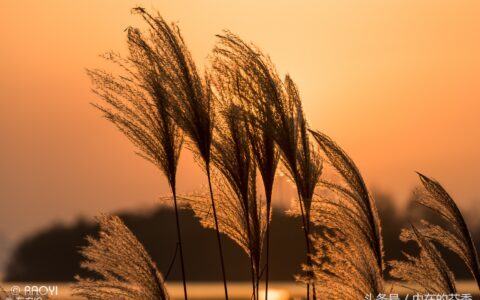 关于包容的故事（4则包容的短篇故事）