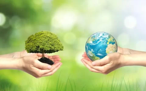 关于保护环境的作文（保护环境优秀作文范文5篇）