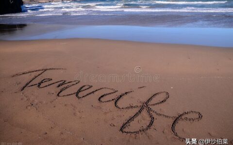 初中好词好句摘抄大全（适合摘抄的神仙惊艳句子）