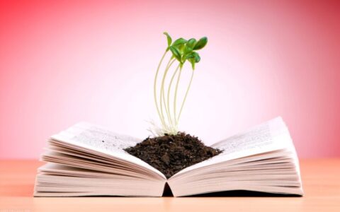 哲理名言美句励志（励志人生哲理的句子经典 ）