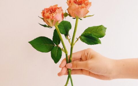 恋爱的句子唯美短句（简短浪漫的爱情句子）