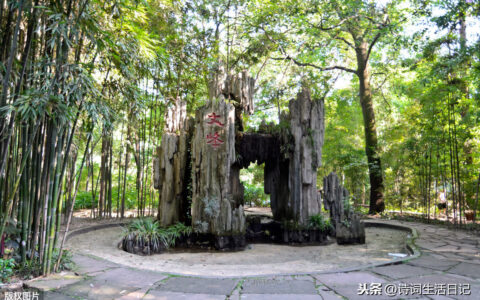 寄黎眉州原文及翻译（寄黎眉州全文赏析及诗意）