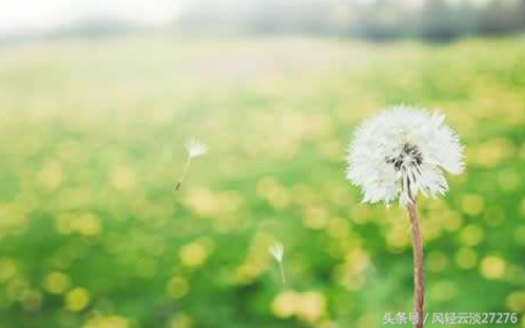 情感类文章素材精选大全（100-2000字适合夜读情感的文章）