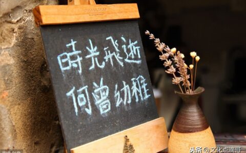 形容时间飞逝（感叹人生聚散的句子）