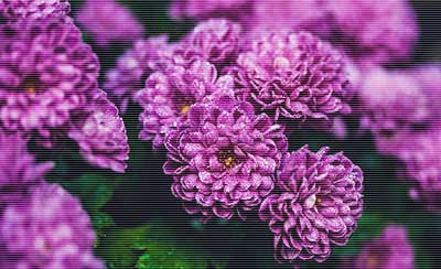 职业生涯关键在前五年