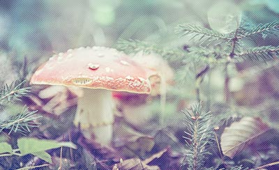 聪明人的职场励志名言