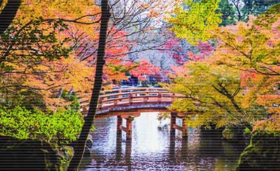 你注定要失败的8个错误