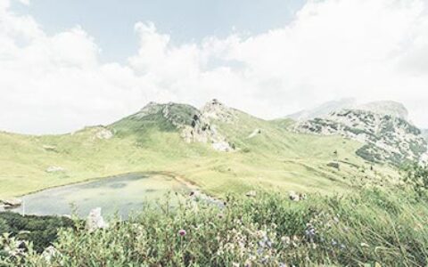 给职场年轻人忠告