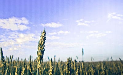 人的职业要有道德底线