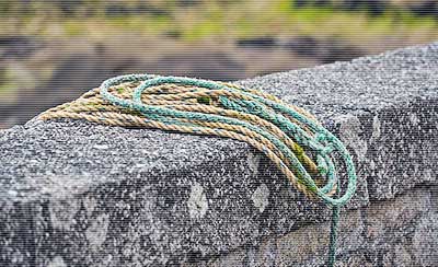 让你职场顺利的二十个细节