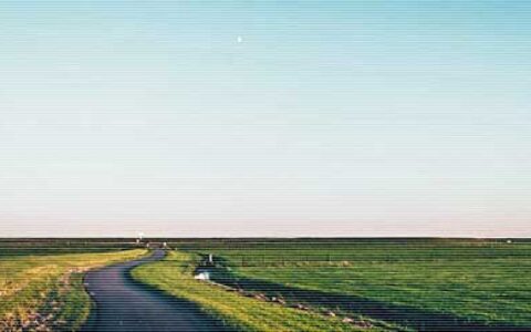 这些话，别跟老板说