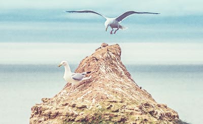 社交职场的28条忠告