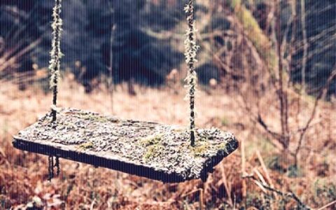 职场失意的根源是什么