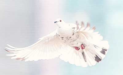 生命中七堂课，七个人生哲理