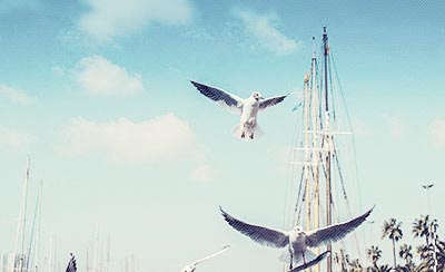 读完让你少奋斗10年的职场语录