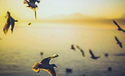 华为牛人的10年工作感悟