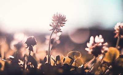 职业生涯成功十个关键词