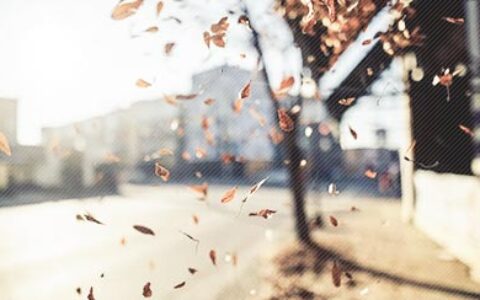 HP大中华区总裁孙振耀退休感言