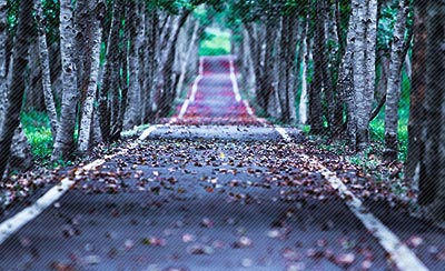 征战职场易被人忽略的九个小细节