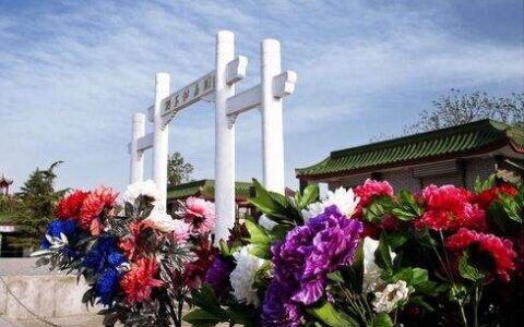 最有名的牡丹诗句（描写牡丹的优美句子）