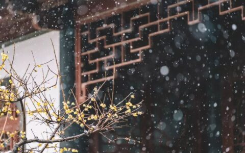 关于冬天的古诗句（描写冬天的千古佳句）