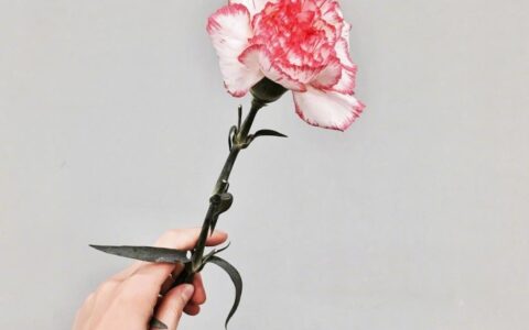 表达爱意的句子经典（高情商的暖心句子）