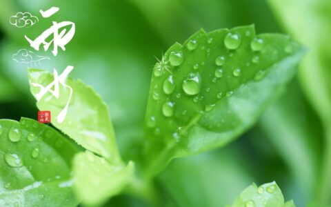 赞美春天的雨的句子（描写春雨的16首名诗）